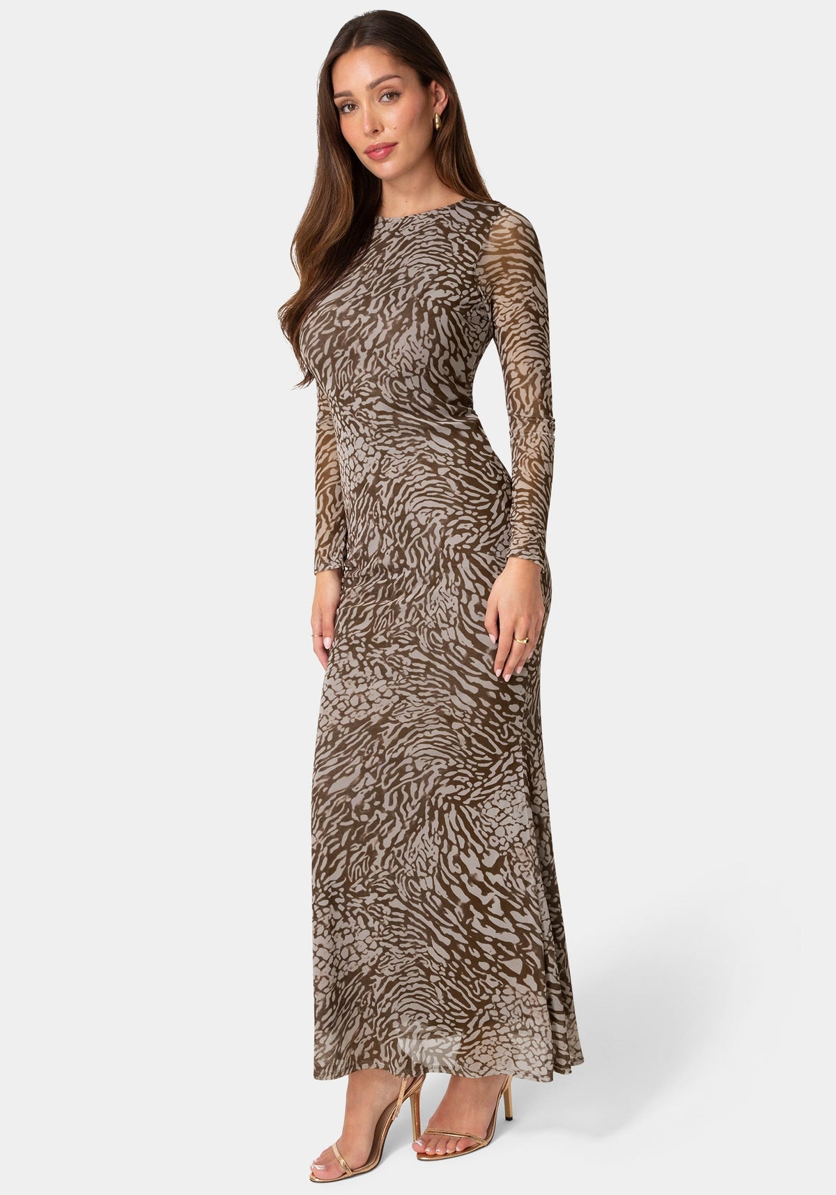 Long Sleeve Mesh Maxi Dress