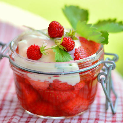 Alpine Strawberry Plants Soft Fruit